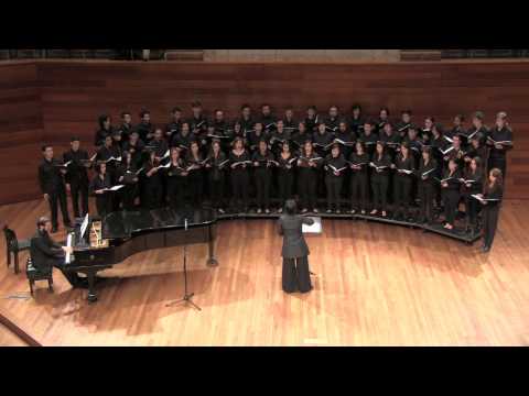 Videos by SANTY LEON / CORO DE CAMARA JAVERIANO /Soir D´lèmé de Badings.