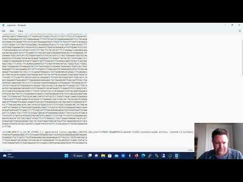 What is a FASTA File