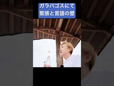 🇪🇨海外でタクシードライバーと意思疎通出来ない問題 #shorts #ガラパゴス #シンカナース