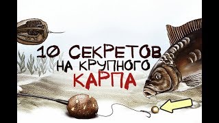 Секреты ловля карпа на пруду в июле