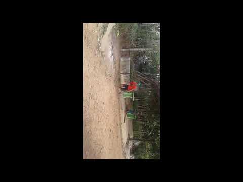 meme da evolução, do garoto caindo, south america memes#memes br