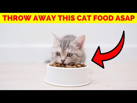Stop Buying Bad Cat Food! Follow These 8 Steps for Healthier Cats