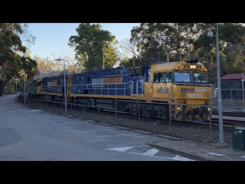 NR93 + NR118 + G537 + G538 on 5AM5 at Blackwood