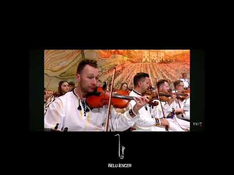 Nelu Iencea  CLARINET  m-o rugat aseara-o fata