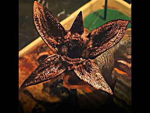 Dart Kills Dustin Cat ☠️🔥 #shorts #strangerthings