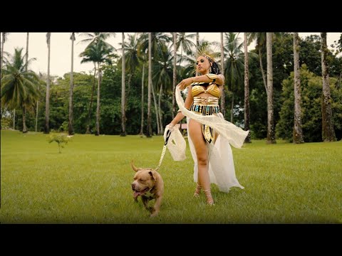 Mewen  X Mikado  "REAL DON" (Clip officiel)