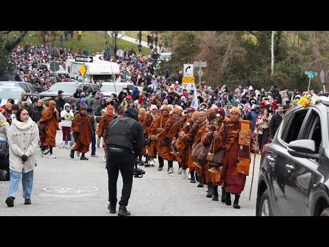 Walk for peace 91 days in capitol building in North Carolina USA 🇺🇸 