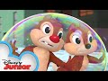My Muddy Valentine Chip N Dale S Nutty Tales Disney Junior