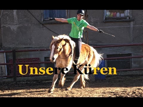 TRAINING für die KÜREN || 16.03.19 BIG PARTY