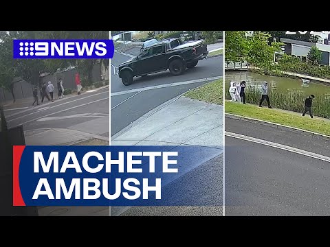 Twin brothers lured and attacked | 9 News Australia