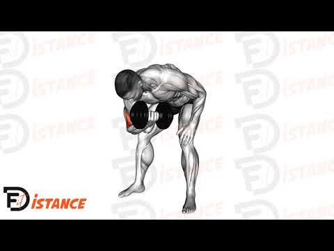 Exercice Curl concentré arnold (coude dans le vide) debout avec haltère