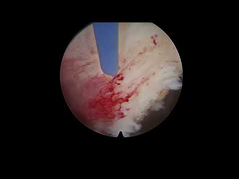 Marco Franco-2