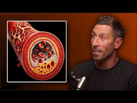 New Study Reveals The Truth Behind LDL & Heart Disease