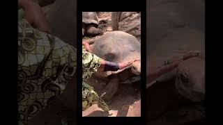 Five reasons that you must visit Zanzibar Tanzania #zanzibar #travel