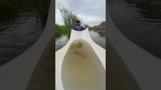 Download lagu 😱🐟🐟😱#fish #fishing #fishingtips #fishcatching #fishpetfun #fishing mp3 Download lagu 😱🐟🐟😱#fish #fishing #fishingtips #fishcatching #fishpetfun #fishing mp3