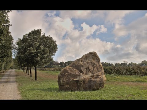 Tasting of TM Rose with Eva Baratta and Javier Pedrazzini