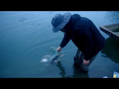 Ribolov plovkom, KUPA - KARLOVAC 29.11.2014