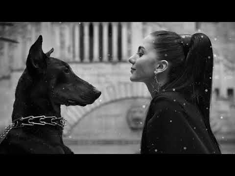 2Pac, Gustavo Santaolalla, Arash, INNA & Joezi - All Eyes On Me, Babel, Dooset Daram, Amazing & Amat