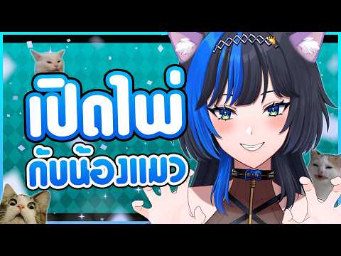 แมวเหมียว..ดู "ไพ่" ได้นะ 🐱🔮