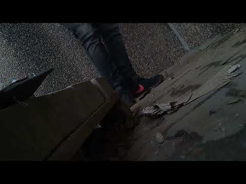 Mystic State - Full Spec (ft. MC Fokus) // Splinterᵈᶰᵇ Step 👽