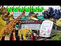 Nandankanan Zoological Park 3rd Largest Zoo Of India Bhubaneswar 2023