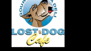 @Lost Dog cafe @brendaseegars2889