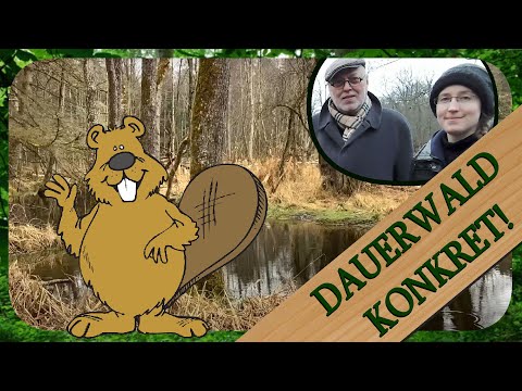 Zuschauerfrage #3 Forstmeister Biber und seine kostenlose Hilfe | Dauerwald Konkret!