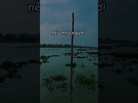 #234 TỤI NÓ MANG TÍNH ÁC ĐỘC HƠN LŨ SHAYTAN