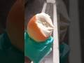 Trying The VIRAL Propitious Mango Lemon And Peach IceCream 2nd Time Sweet Corn Ice Cream