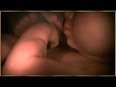 Click to Watch the The First Right is the Right to Life. It is Time to End Legal Abortion on Demand video