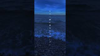 - 【夏が惜しい貴方へ】残暑感想文 #ボカロ曲 #おすすめ #ボカロ #歌詞動画