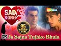 Ja Sajna Tujhko Bhula - Raja Songs - Madhuri Dixit - Sanjay Kapoor - Udit Narayan - Alka Yagnik Ja Sajna Tujhko Bhula - Raja Songs - Madhuri Dixit - Sanjay Kapoor - Udit Narayan - Alka Yagnik