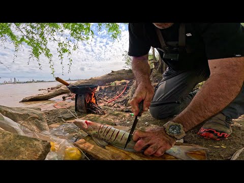 Día de PESCA y COCINA "Me PICA algo GIGANTE". PESCA URBANA