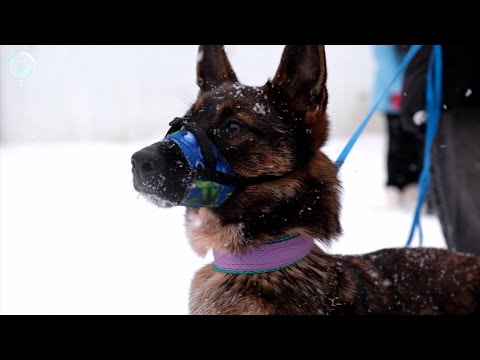 НОВОСТИ УТРА – 16 января 2026