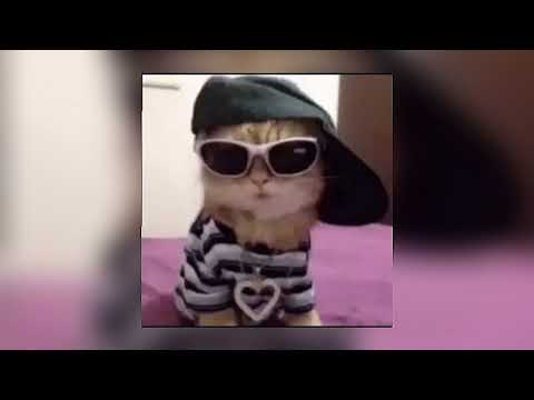 twerk it like miley - (sped up)