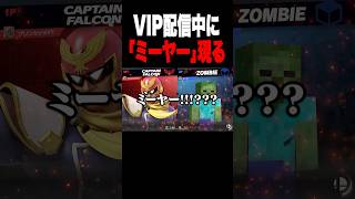 VS「ミーヤー」 #スマブラsp #supersmashbros