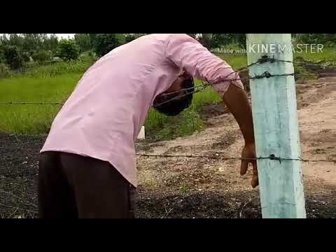 Orayyo Full Video song-Rangasthalam