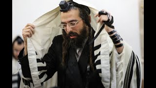 האדמו''ר מזוועהיל בקריאת התורה במירון - Zvhi  Rabbi