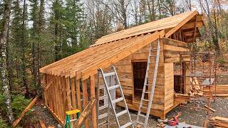Off Grid Cabin : Shed Rafters and Windows : Ep 7