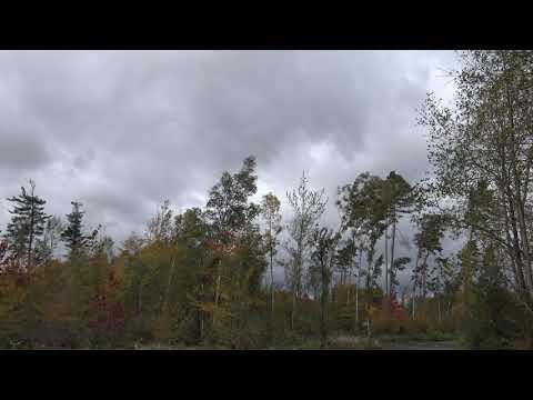 Sturmtief Ignatz 21.10.2021