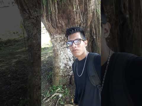 CIDADE DE SÃO GABRIEL DA CACHOEIRA - AMAZONAS #foryou #fypシ゚viral #vlog