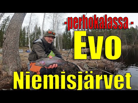 Perhokalassa Evolla 4/20