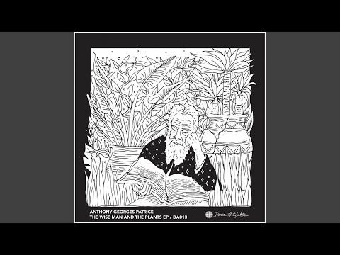 Damiana (Original Mix)