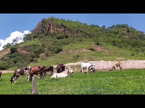 Lembranças dessa viagem_  região do morro do cavalo.