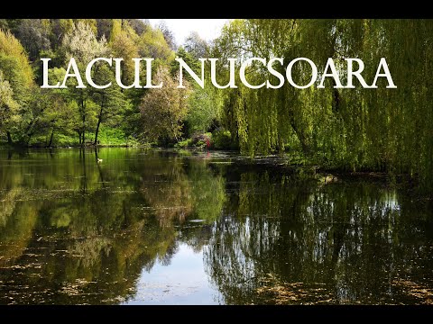 Lacul Nucsoara(AG)