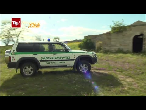 Le Gadit di Corato al TG2 Weekend