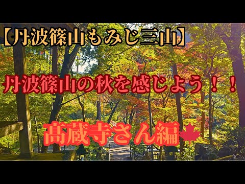 [Tamba Sasayama Maple Sanzan] Seita Tendai Templo Hohashiyama Takazoji 🍁Vamos começar a visitar as folhas de outono ♪ #Passeios turísticos #Dirigir #Folhas de outono