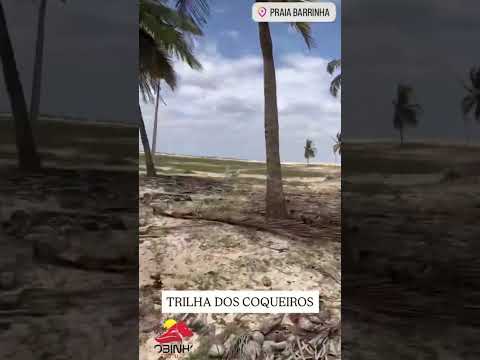 passeio Buggy Camocim Ceará  com lobinho tour Faça sua Reservas on-line Venham esse paraíso