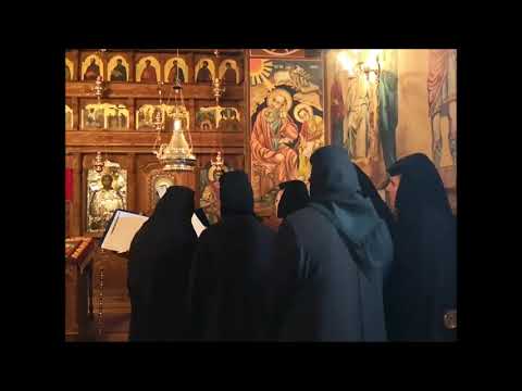 20181209 NICOLAE BALASOIU –  TAMADUIREA FEMEII GARBOVE