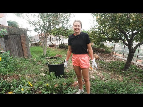 Hidden Surprises in our Italian garden! 🇮🇹 (#12)